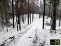 Endmoränen-Landschaft des Niederlausitzer Grenzwalls am Königsberg bei Gehren, Niederlausitz-Spreewald, Brandenburg, (D) (17) 24.01.2015.JPG